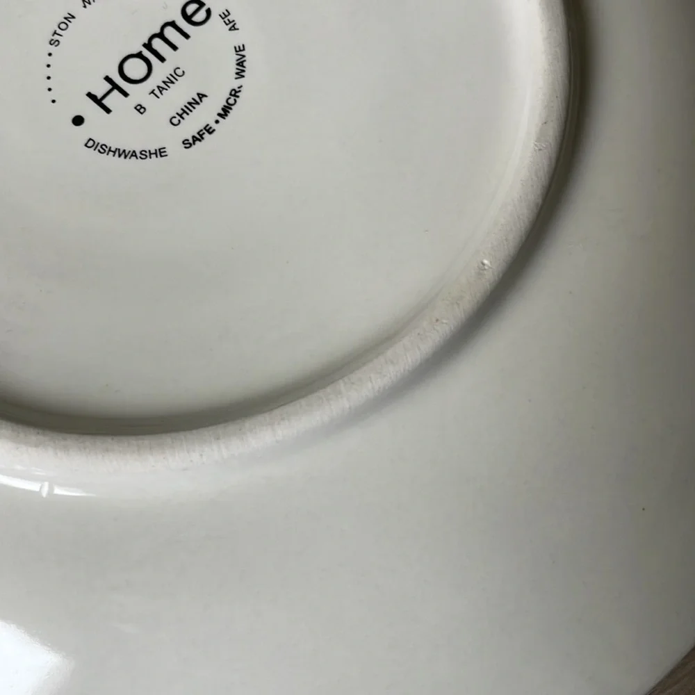2 Target Home Green Salad Plates